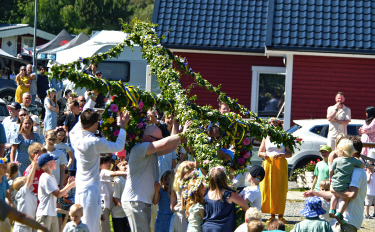 Midsommarstång som reses av människor.