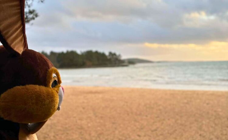 Namnlös design (11)