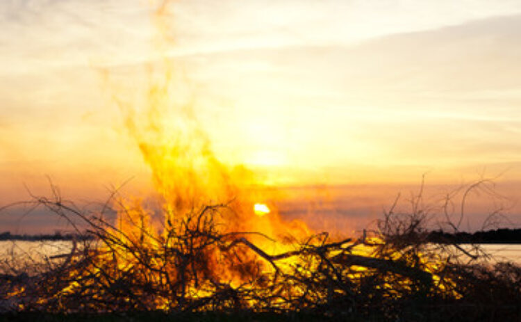 240_F_143149492_5T9IS6EK1CIz6sgVutuGCMPgIigUXlaS